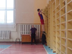 �����������