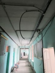 �����������